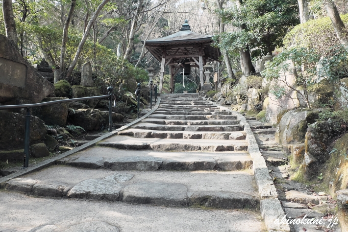 三瀧寺 参道-2