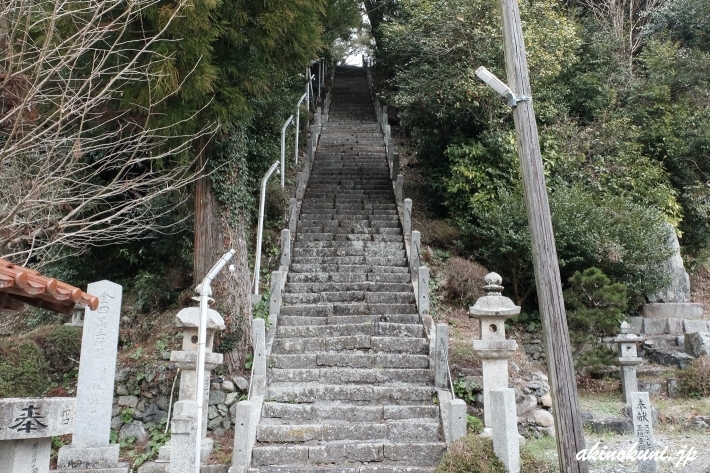 鮎原剣神社 急な階段