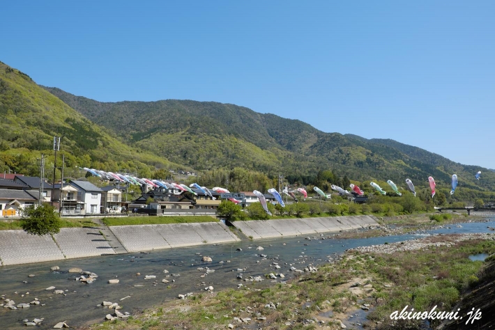 三篠川の鯉のぼり 2020年