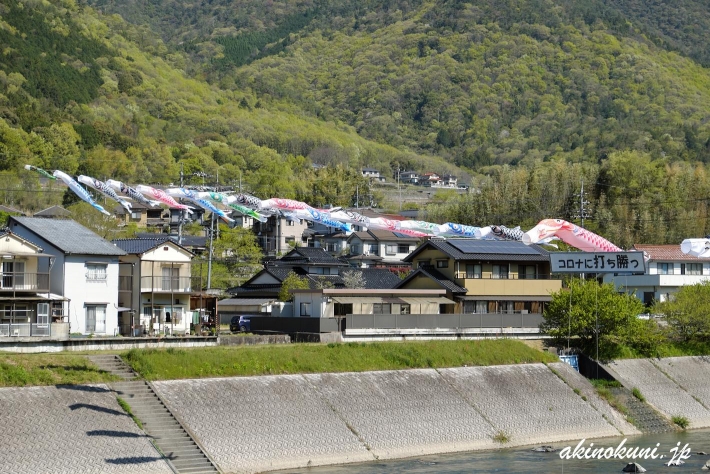 三篠川の鯉のぼり 2020年 2