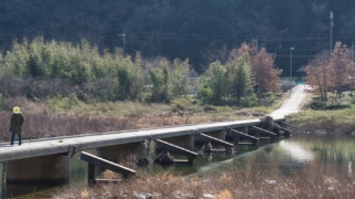 太田川の沈下橋 程原橋