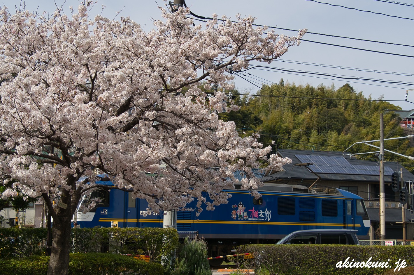 桜とEF210桃太郎 2021年