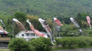 三篠川の鯉のぼり 2022年5月1日