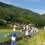 案山子のいる風景 小さく気動車も