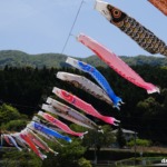 三篠川の鯉のぼり 2023年4月23日