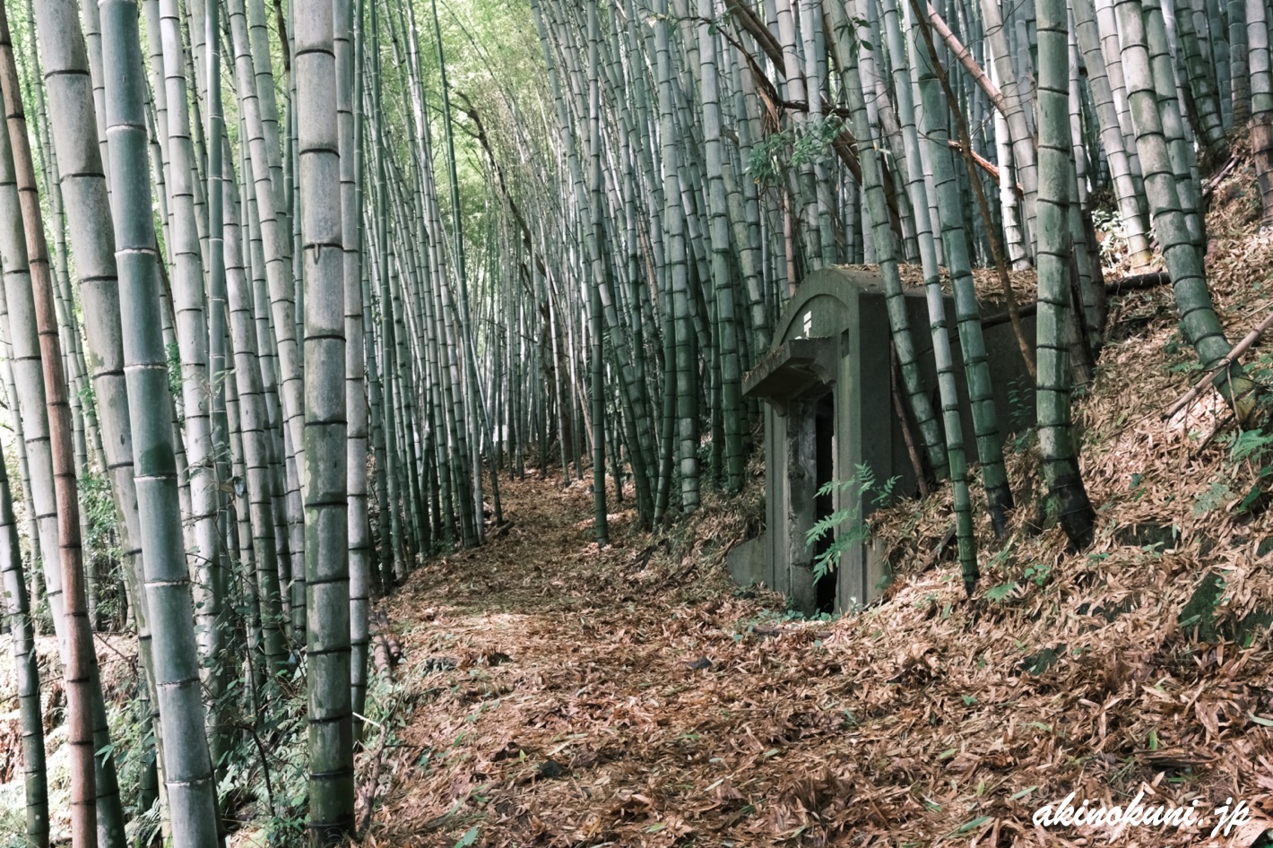 大竹市の装荷線輪装置用ケーブルハット