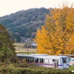 山ノ内駅を出発するキハと銀杏 2023年11月11日