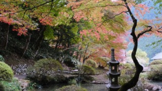 吉水園 2023年11月11日