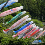三篠川の鯉のぼり 2024年5月4日