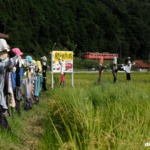Thumbnail of new posts 184