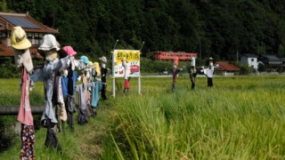 Thumbnail of post image 192