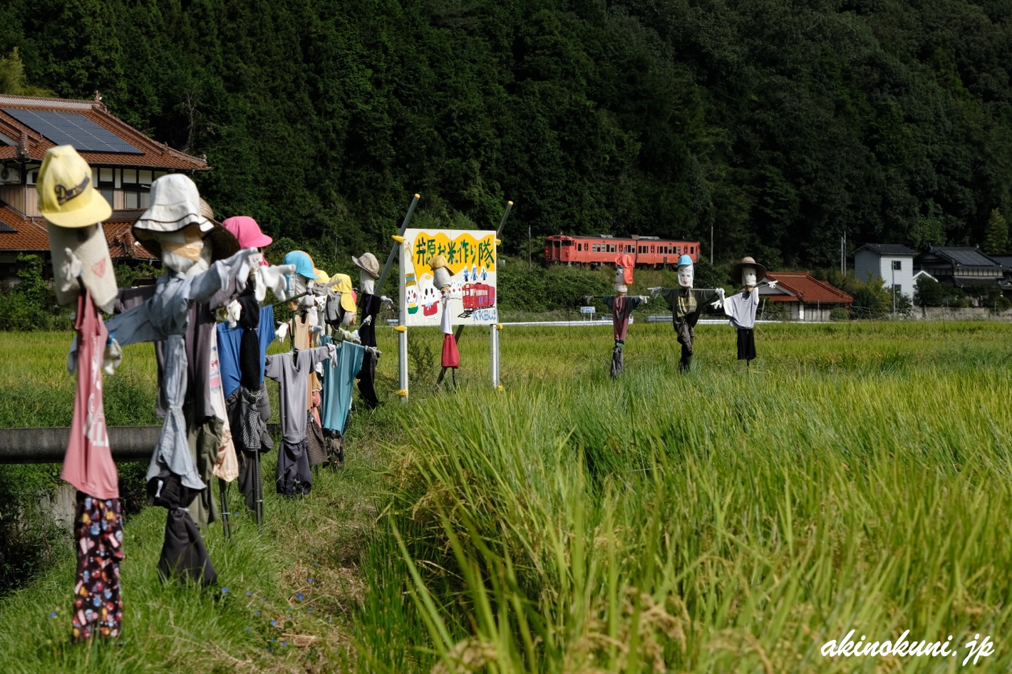 すくすく田んぼの案山子-2025年(広島市安佐北区) | 安芸の国から