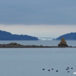 ホボロ島 2025年10月19日