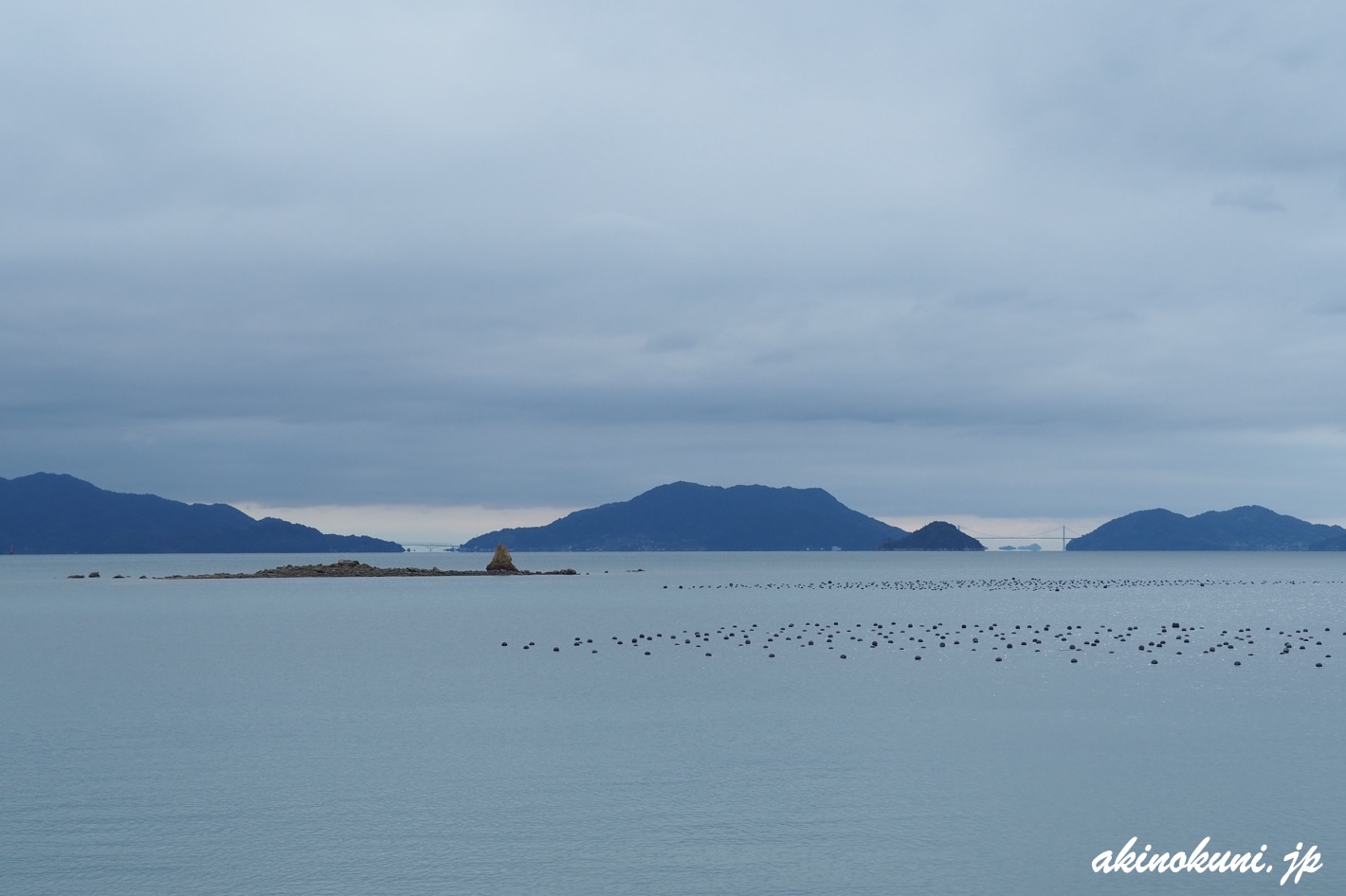 ホボロ島 2025年10月19日