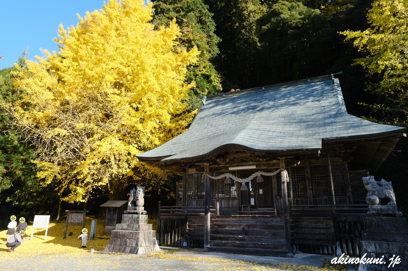厳島神社(安芸高田市)の銀杏 2025年11月22日