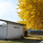 Thumbnail of new posts 140