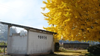 Thumbnail of post image 166