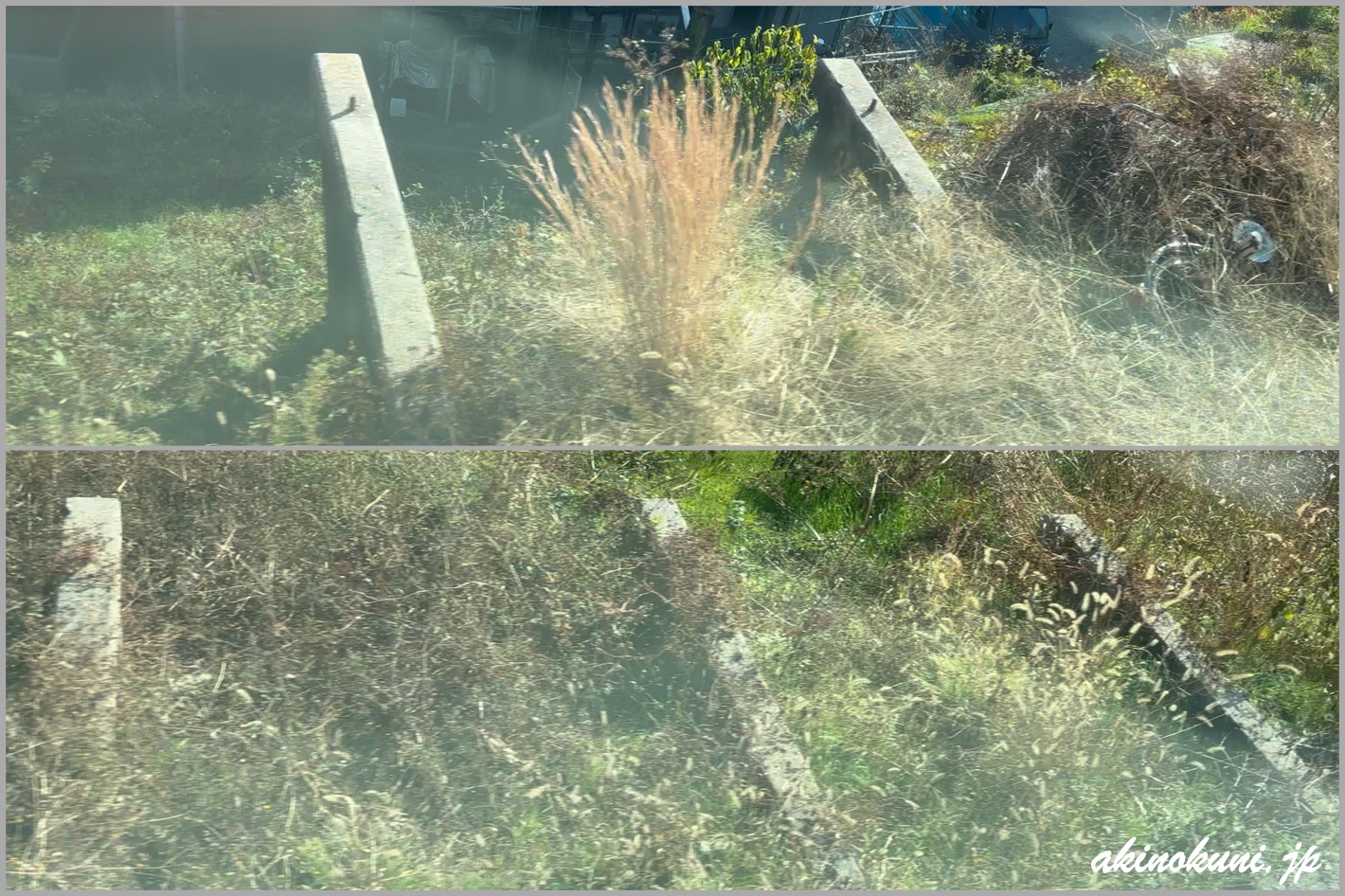 呉線 目隠し塀（目隠し板）跡 2026年1月2日