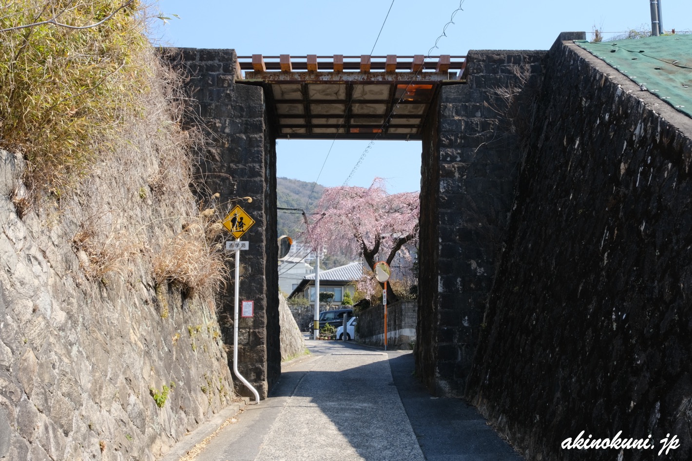 戸坂数甲の桜 2026年3月21日