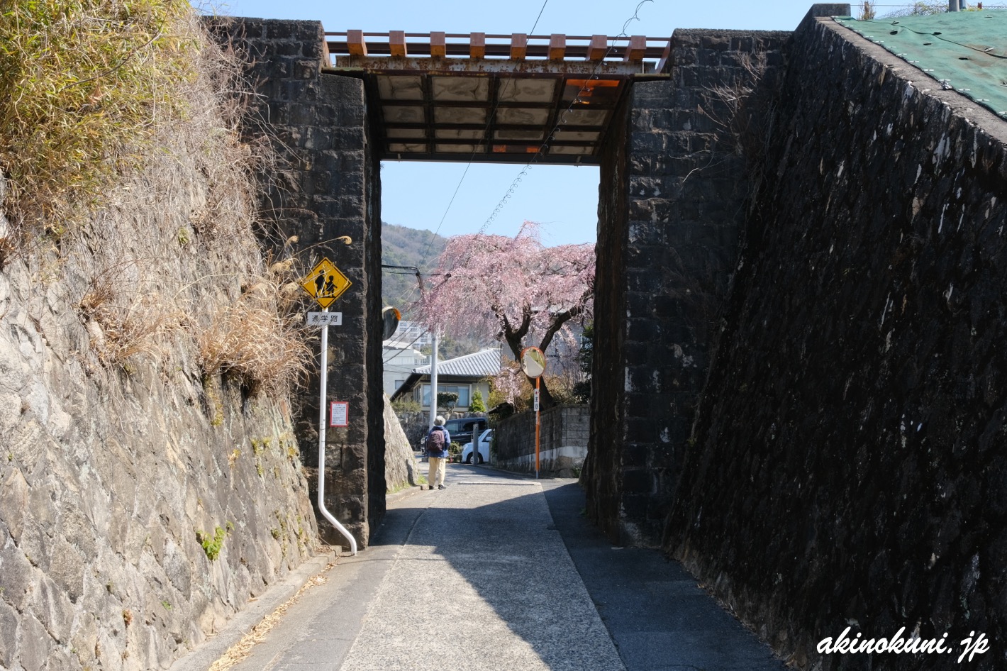 戸坂数甲の桜 2026年3月21日
