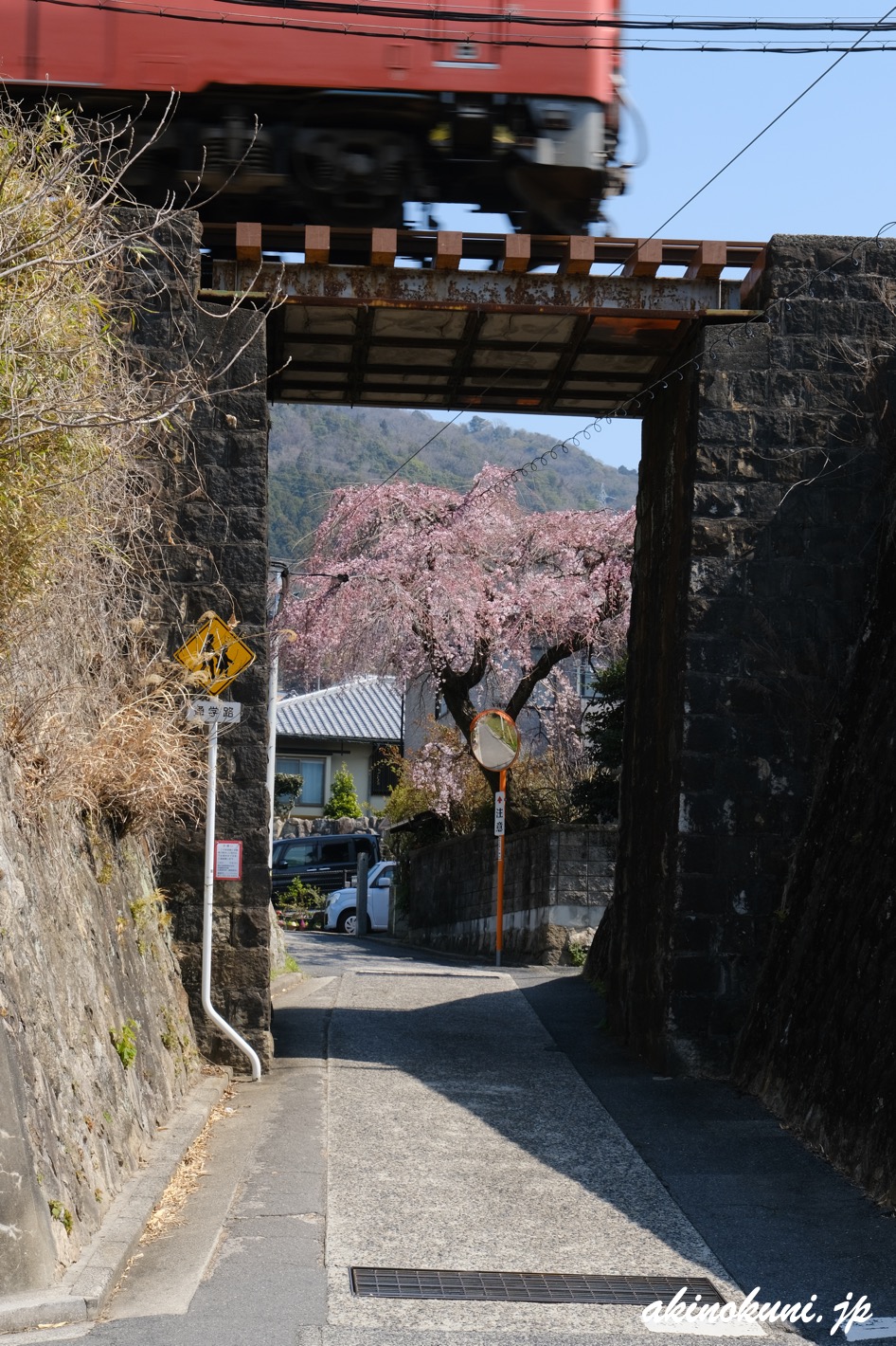 戸坂数甲の桜 2026年3月21日