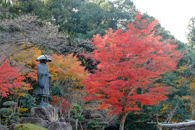 高林坊 お坊さんの像と紅くなった葉