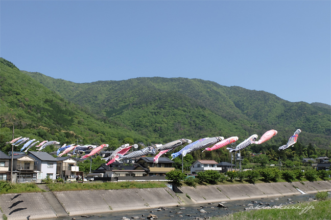 三篠川の鯉のぼり