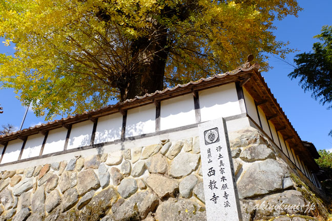 北広島町大朝の西教寺