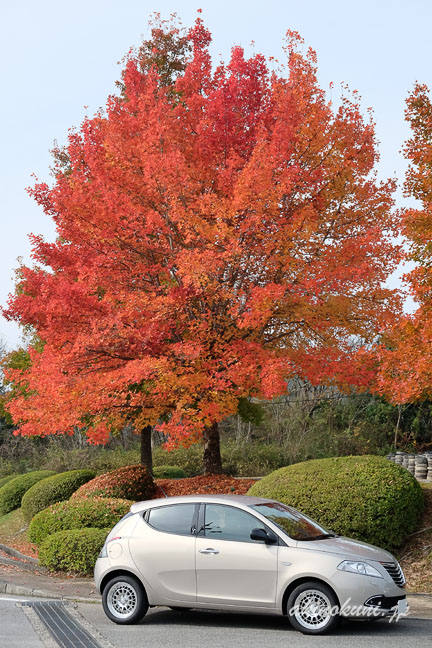 旧ニュージーランド村入り口の紅葉とクライスラーイプシロン