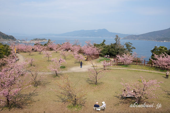 上関城山歴史公園を上から