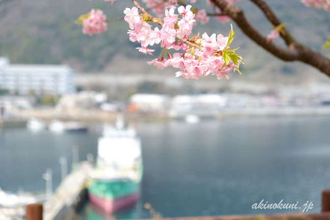 背景に船　この場所ならではかな