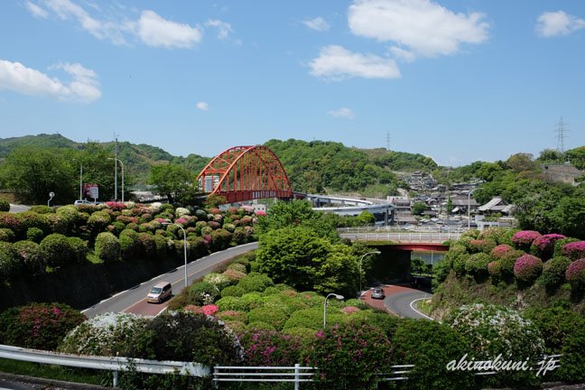 音戸大橋とつつじ　青空がきれい