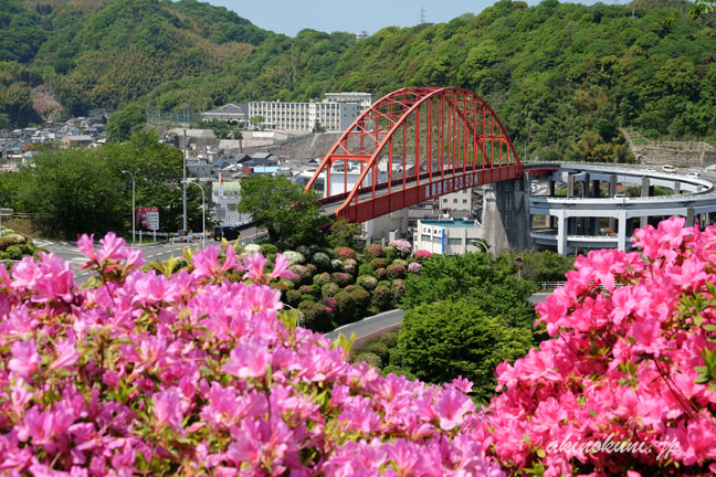 音戸大橋とつつじ　橋にピント